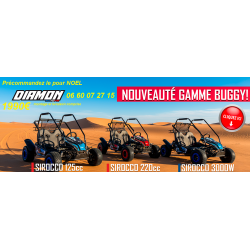 BUGGY DIAMON Motors
