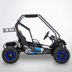 BUGGY DIAMON Motors