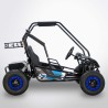 BUGGY DIAMON Motors
