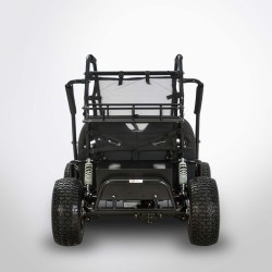 BUGGY DIAMON Motors