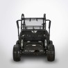 BUGGY DIAMON Motors