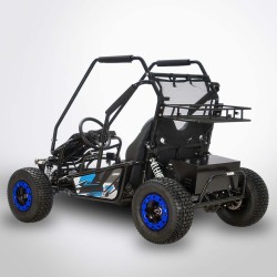 BUGGY DIAMON Motors