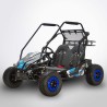BUGGY DIAMON Motors