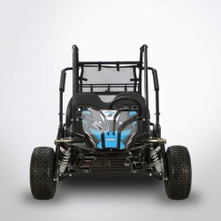 BUGGY DIAMON Motors