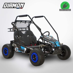 BUGGY DIAMON Motors